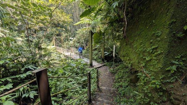 115.04.12金平山西峰-蝙蝠洞之旅3034704