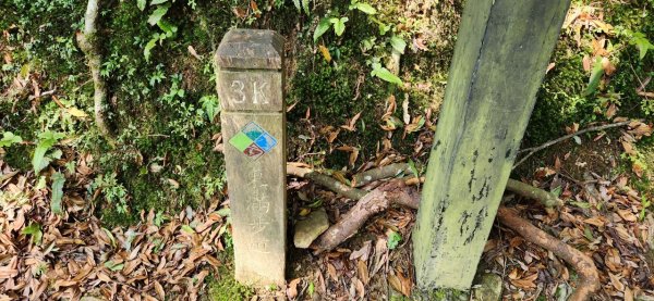 【中級山縱走】志繼山，東眼山，拉卡山，卡外山，東滿步道2742589