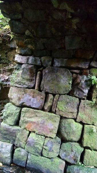 璀璨百年淡蘭古道～崩山坑古道、溪尾寮山、保城坑古道、虎豹潭步道O走1313445