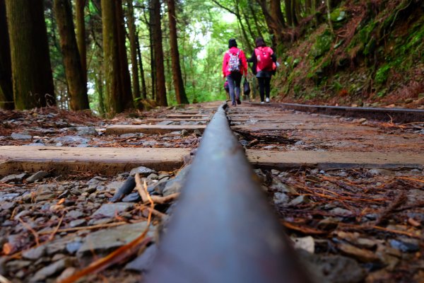 迷霧幽幽~特富野古道691934
