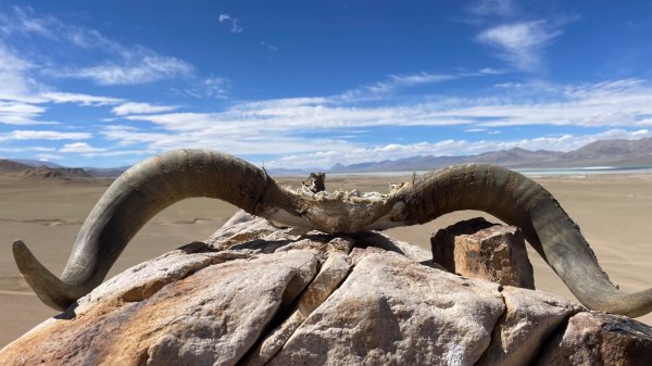 川藏318熱門的卡點-尼瑪-當惹擁措-大地之樹-雅丹地貌聖象天門2905341