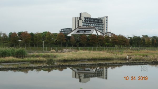 朝陽步道&粉鳥林&石碇雲海712098