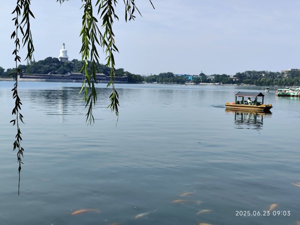 北京北海公園2829661