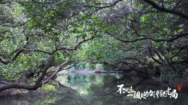 【短片】台灣最美的11分鐘!!《看見台灣之後》