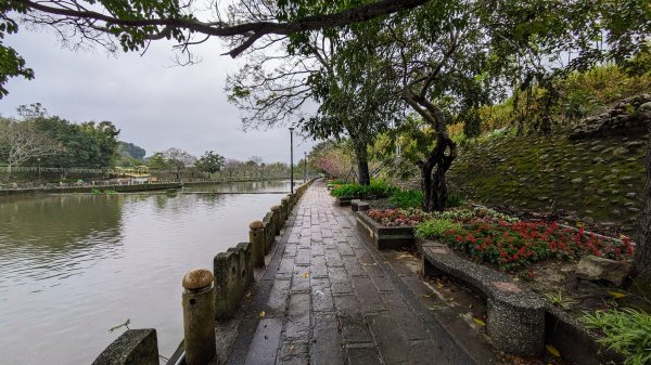 新竹關西亂亂走2422382