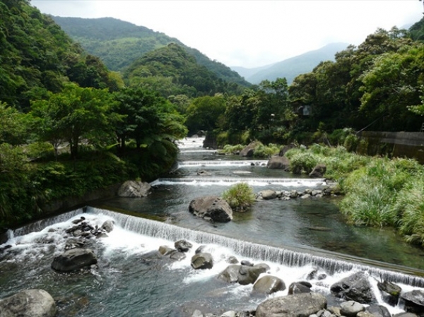 新北部落藏日治時期古圳　揭開原始山林神秘面紗