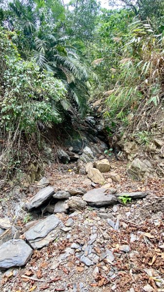 棚集山(小百岳#78)2800387