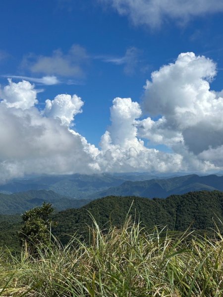 烘爐地山、桶後溪源頭O走2593139