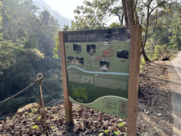 萬年峽谷步道2969830