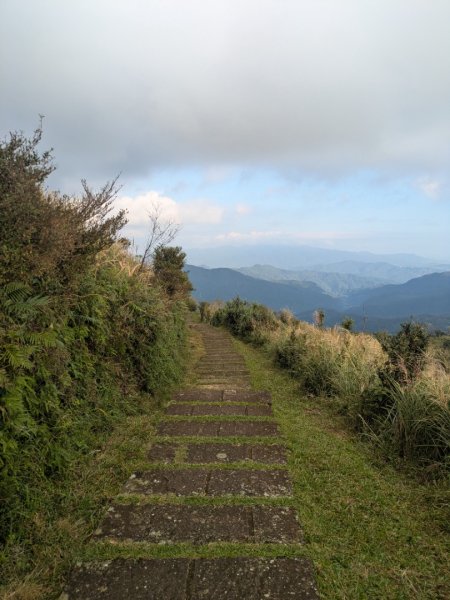 20251108桃源谷到草嶺古道大里天公廟2931447