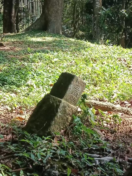 國姓「鋤頭盤山」山字森林三角點3131510