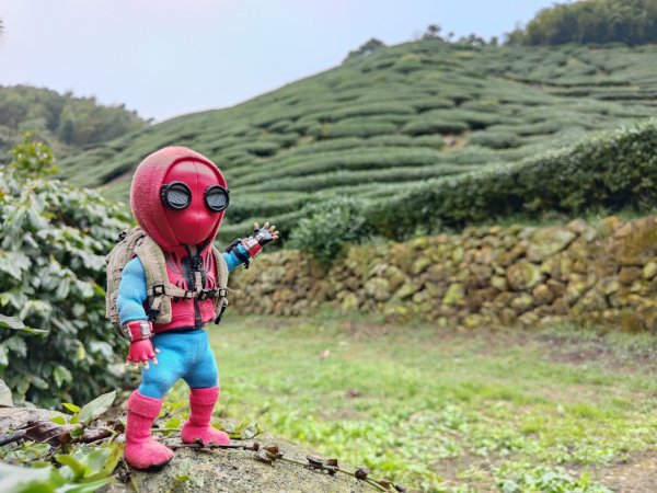 2023.12.23 梨子腳山2833256