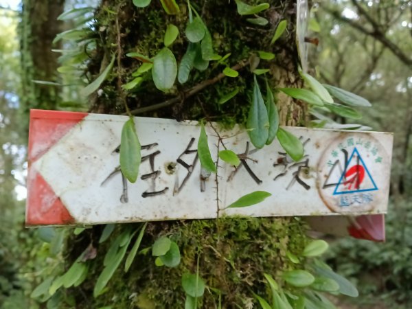 頭城鎮外大溪山+七兄弟山+窖寮山O型3016009