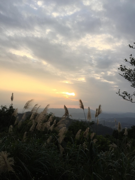 1051224 登桃園小百岳-石門山82095