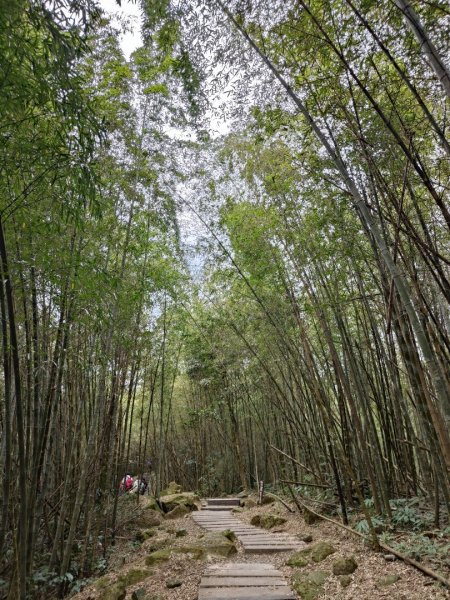 2023.12.30 雲嘉大尖山2840420