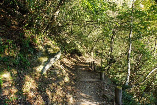 新竹 五峰 西高橋山、霞喀羅大山2959318