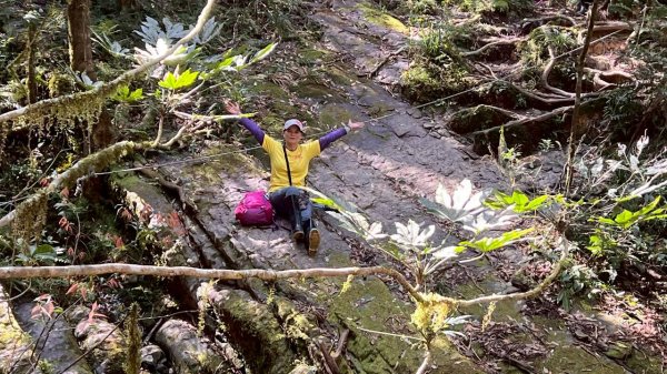 🌈3/14（六）赫威神木群+赫威山✨FB：熊熊趴爬走🌈3015379