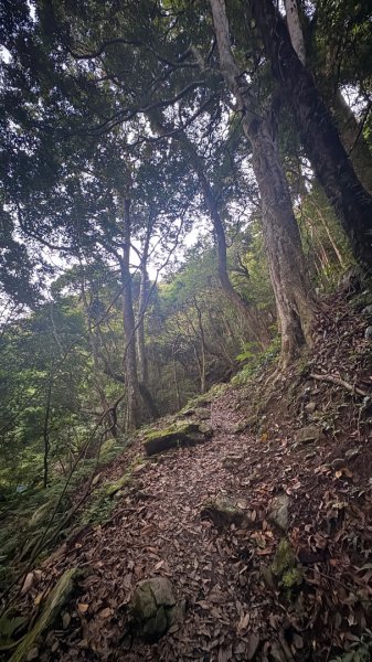 加里山東南峰2867917