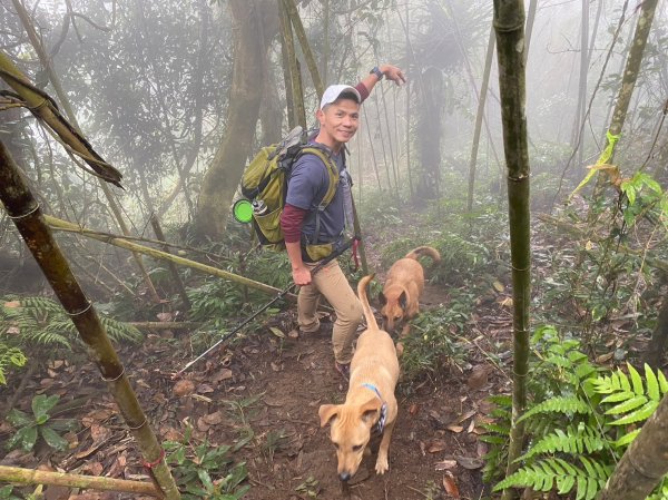 馬那邦山.細道邦山【你 不能預判山的變幻莫測】2401515
