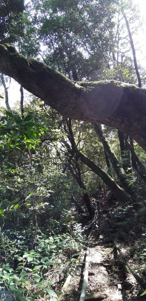 白姑大山之旅743395