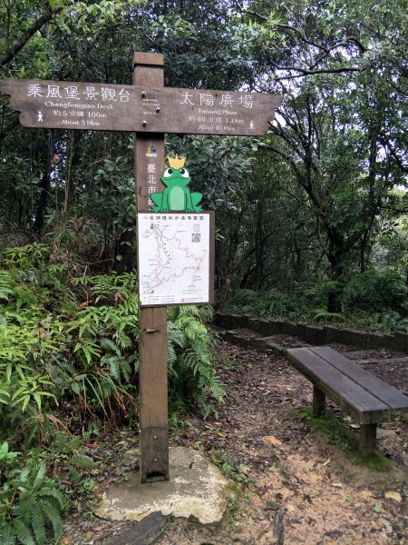 大崙頭山1299826