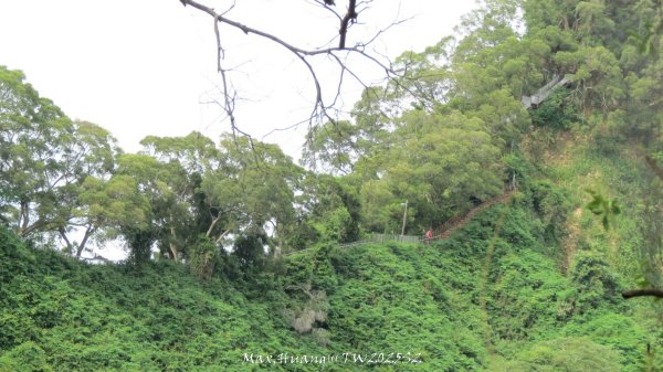 《彰化》稜線雙龍｜田中森林登山步道O型202506292824369