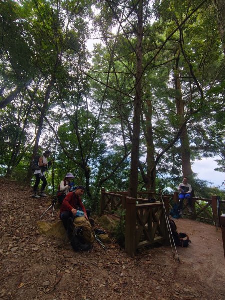 阿冷山 谷關第八雄2877407