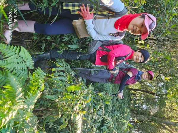 20260104源茂山.源茂山西峰.和尚髻山O走+親水觀魚步道2977710