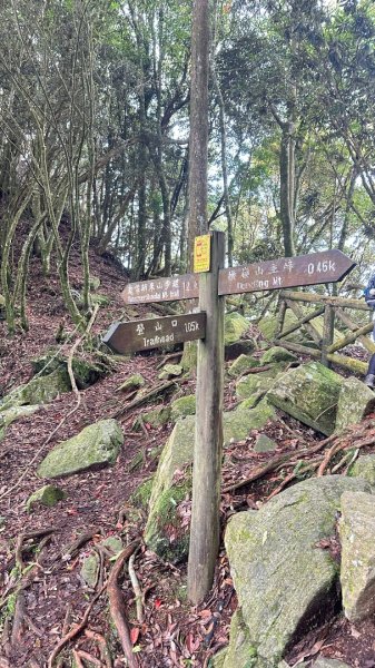 橫沙笛O繞2824584