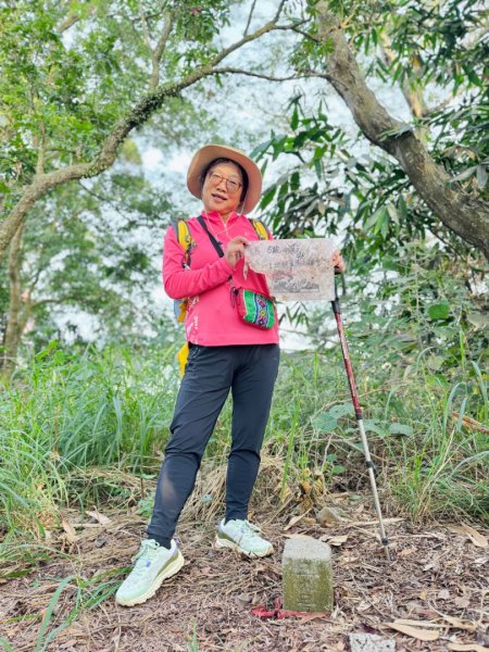古坑地母廟走荷苞山(登山步道)訪小溪子山2946717