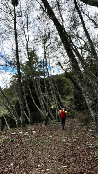 對關追龍貓🚌1970021