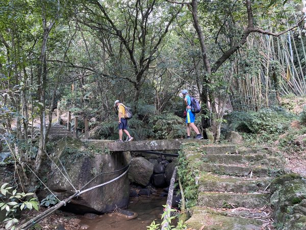 《五指山古道 × 石盤瀑布 × 友蚋山南峰 × 柯子林天然泳池｜尋訪山林古道與靜謐日式庭園》2923008