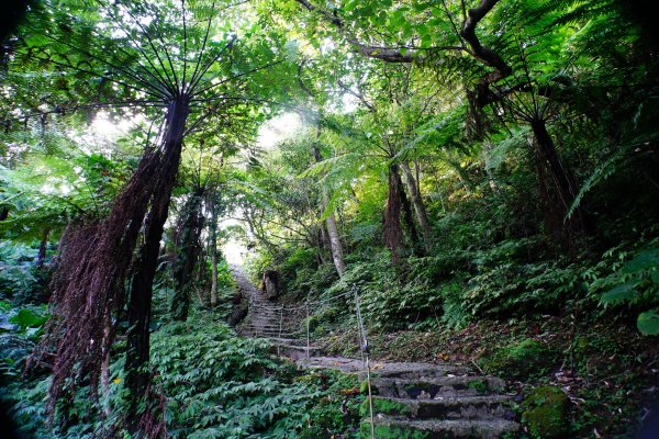 新北 土城 天上山、五城山、文筆山、五尖山、牛埔頭山、大尖山、二尖山、內冷水坑山、石門山、南天母山3134905