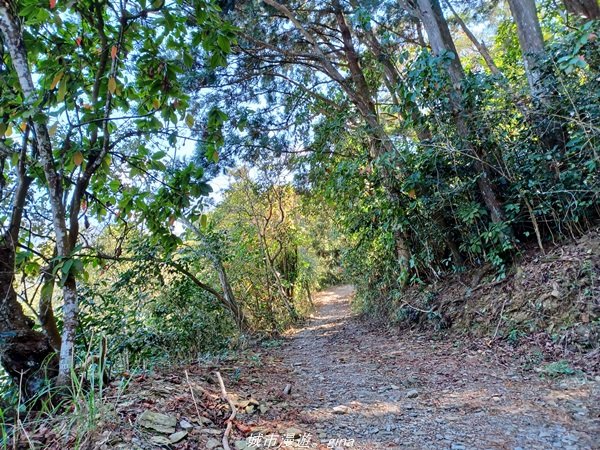 【高雄。茂林】清悠原始山徑。 小百岳集起來。 編號71小百岳-鳴海山 (扇平園區)1653736