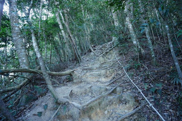 臺中 和平 白毛山、次郎山2670925