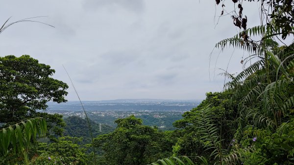 桃園金面山3077114