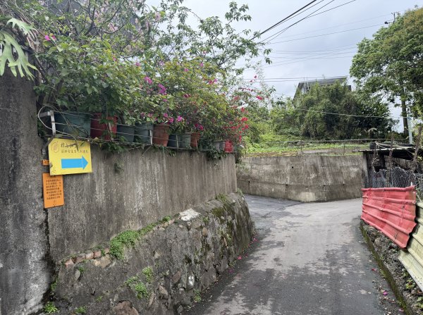 [樟之細路_第二大段RSA13] 2026_0328 渡南古道3025974