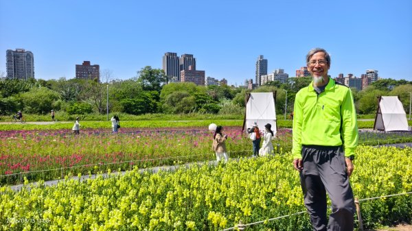 首訪 #古亭河濱公園 #花海 3/153015664