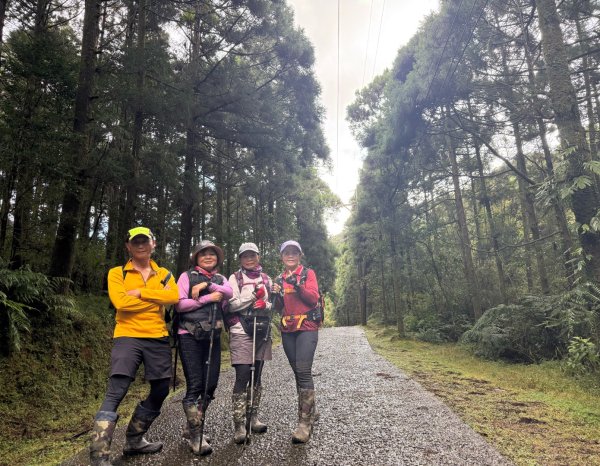 淡蘭中路五段2971956