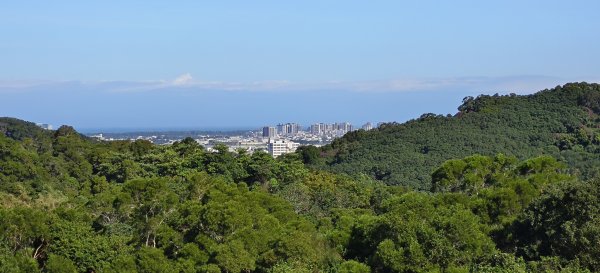 2025/11/09-青青草原步道2933465