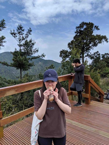 觀霧榛山登山步道912955