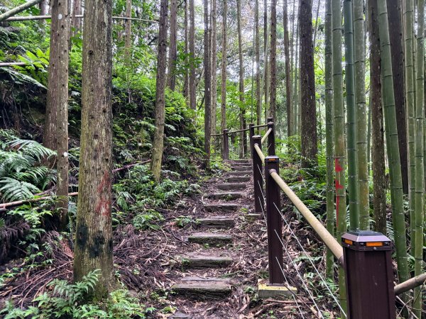 白蘭溪古道2846940