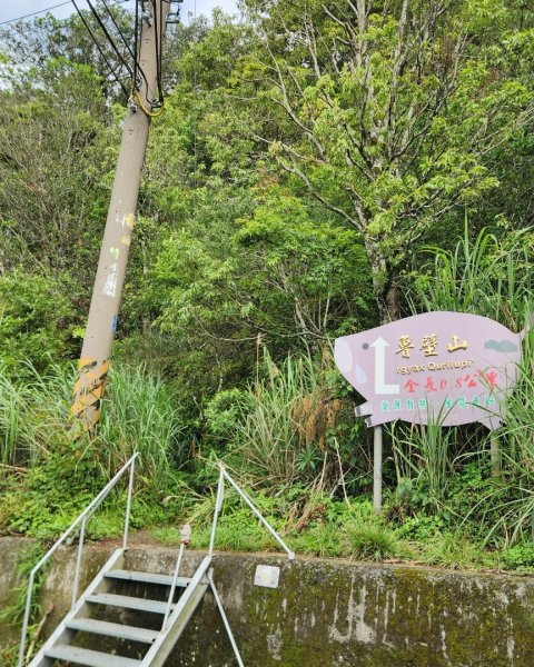 【中級山縱走】魯壁山，東穗山，大島田山，宇老觀景台2771713