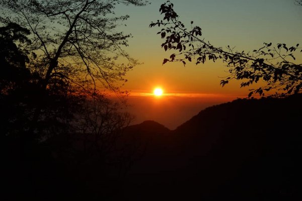 108.12.14台中稍來山（紅榨槭，夕776884