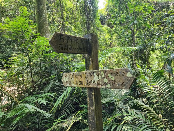 小百岳No.23⛰溪洲山2506997