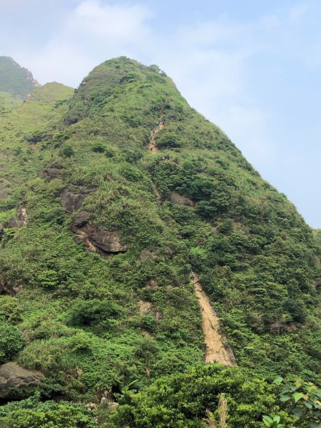 【北台灣郊山之王「瑞芳劍龍稜」 攀爬峭壁岩稜翻山越嶺驚險行】1337543