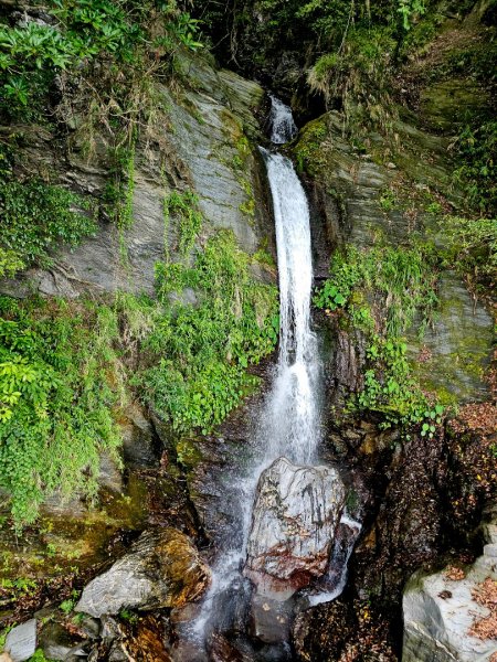 瓦拉米步道(登山口至佳心段)-(花蓮)臺灣百大必訪步道2789411