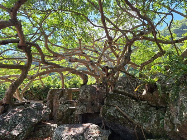 北關海潮公園202508312877140