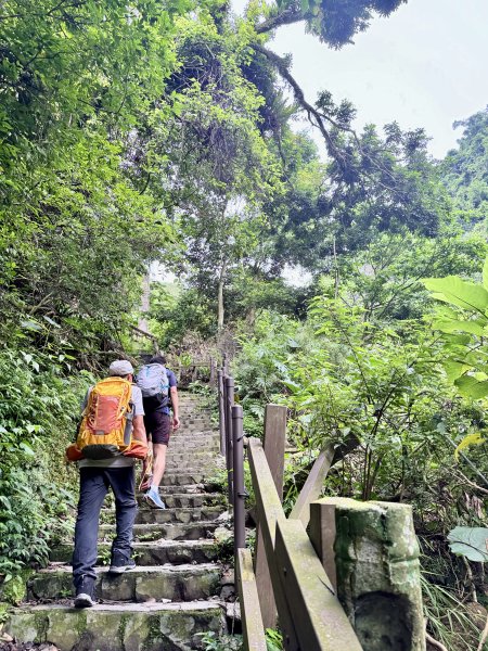 獨立山奉天岩健行趣（雲霧山林間的悠閒時光）   2026.7.303096381