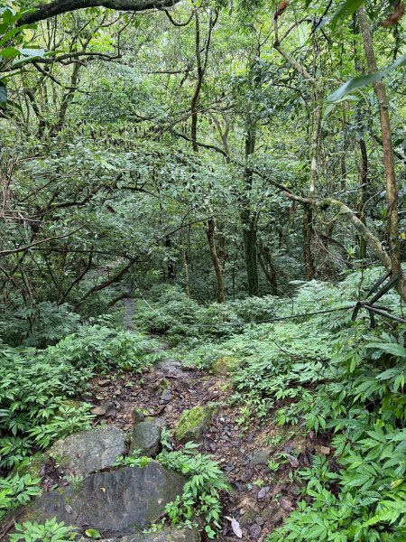虎豹雙棲越野17K複習跑-part23072597